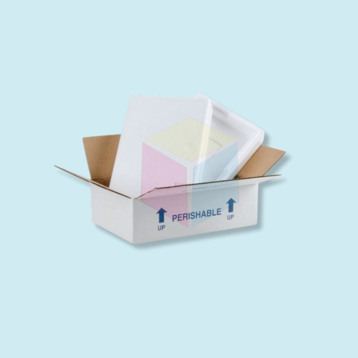 Dry Ice Shipping Boxes